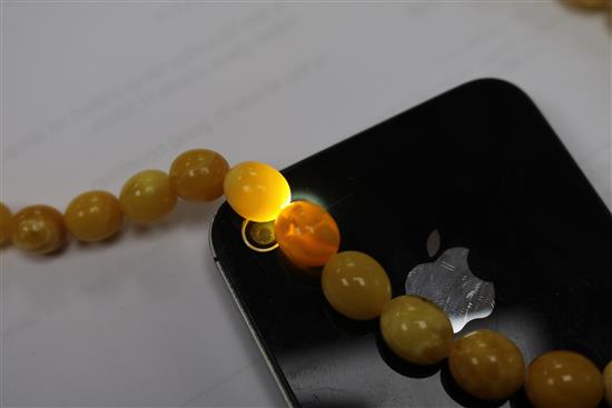 A single strand graduated amber bead necklace, gross weight 19 grams, 38cm.